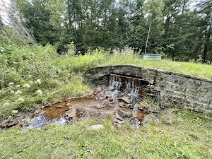 Flowing Well Campground campsite photo 3 - Hiawatha National Forest, Michigan