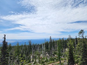 Flag Point Lookout  campsite photo 2 - Mt. Hood National Forest, Oregon