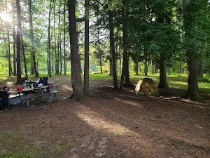 Gleasons Landing  campsite photo 3 - Huron-Manistee National Forests, Michigan