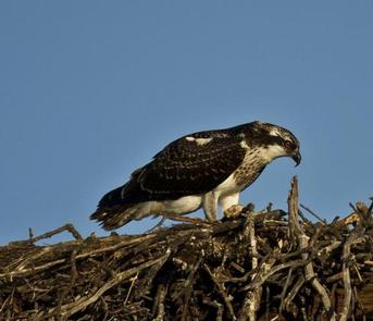 GLORY HOLE RECREATION AREA 2