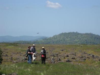 GLORY HOLE RECREATION AREA 4