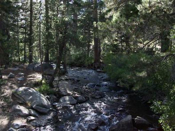 Green Creek Group campground at Humboldt-Toiyabe National Forest Headquarters, California