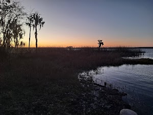Group Landing campsite photo 4 - National Forests in Florida, Florida