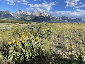 Glacier View campsite photo 3 - Okanogan-Wenatchee National Forest, Unknown