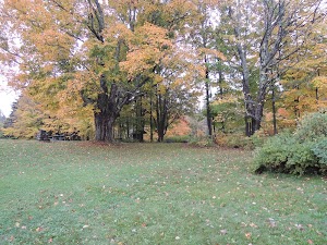 Hapgood Pond campsite photo 4 - Green Mountain & Finger Lakes National Forests, Vermont