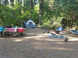 Humbug Campground campsite photo 3 - Willamette National Forest, Oregon