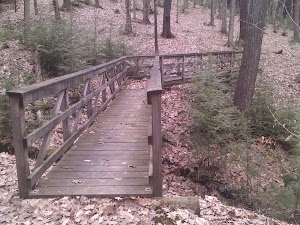 Handsome Lake Boat Access Campground campground at Allegheny National Forest, Pennsylvania
