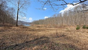 Handsome Lake Boat Access Campground campsite photo 4 - Allegheny National Forest, Pennsylvania