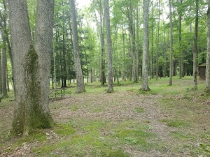 Hooks Brook Boat Access Campground campsite photo 3 - Allegheny National Forest, Pennsylvania