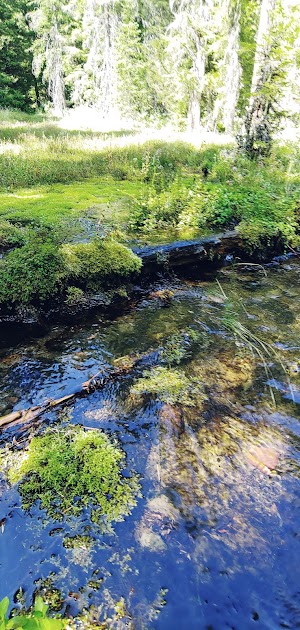 Imnaha Guard Station campsite photo 5 - Rogue River-Siskiyou National Forest, Oregon