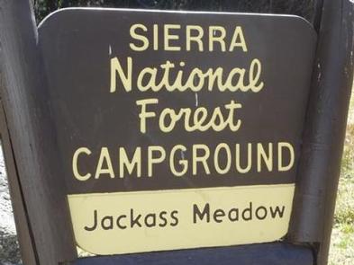 JACKASS MEADOW