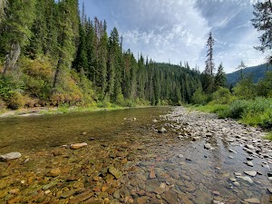 Kit Price campsite photo 3 - Idaho Panhandle National Forests, Idaho