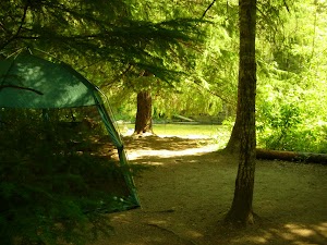 Kit Price campsite photo 4 - Idaho Panhandle National Forests, Idaho