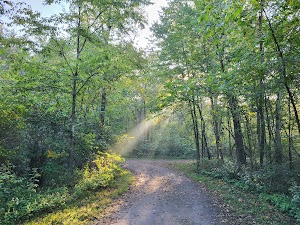 Lane Spring Recreation Area campsite photo 6 - Mark Twain National Forest, Missouri
