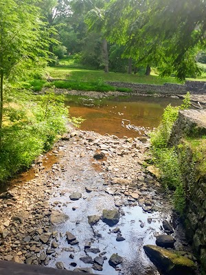 Loleta Recreation campsite photo 2 - Allegheny National Forest, Pennsylvania