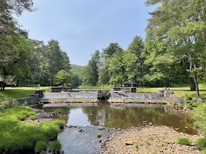 Loleta Recreation campsite photo 3 - Allegheny National Forest, Pennsylvania