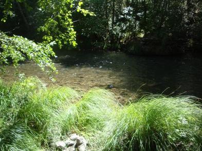Mad River Campground campground at Six Rivers National Forest, California