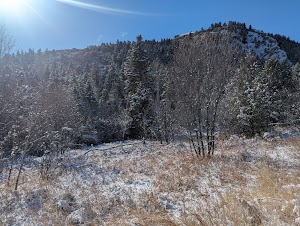 Malad Summit Guard Station campsite photo 6 - Caribou-Targhee National Forest, Idaho