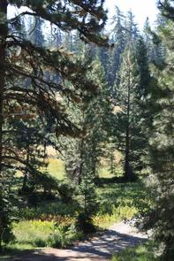 MASTERSON GROUP CAMPGROUND