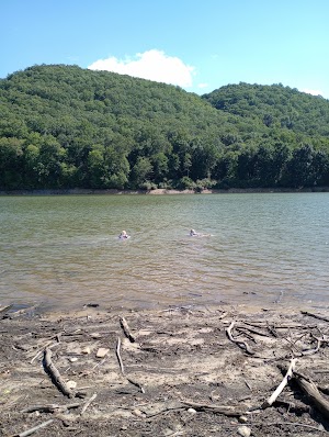 Mcclintic Point campground at George Washington & Jefferson National Forest, Virginia