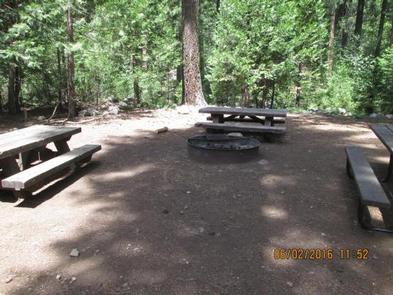 Camp Unit 1 with picnic tables and group fire ring.