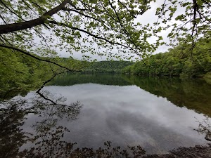 Mill Run Recreation Area campground at Youghiogheny River Lake, Maryland