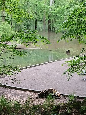 Mill Run Recreation Area campsite photo 4 - Youghiogheny River Lake, Maryland