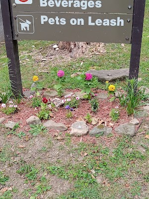Mill Run Recreation Area campsite photo 6 - Youghiogheny River Lake, Maryland