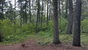 Mokins Bay Campground campsite photo 5 - Idaho Panhandle National Forests, Idaho