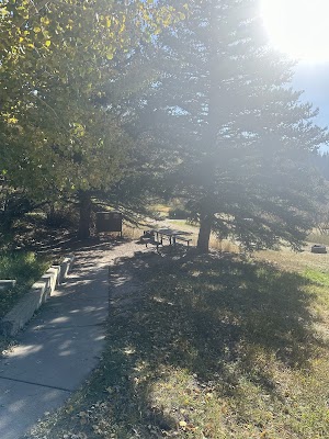 Mollie B_white River campsite photo 3 - White River National Forest, Colorado
