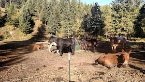 Monture Guard Station Cabin campsite photo 3 - Lolo National Forest, Montana