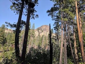 Monty Campground campsite photo 5 - Deschutes National Forest, Oregon