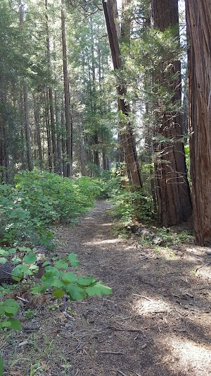 Monty Campground campsite photo 6 - Deschutes National Forest, Oregon