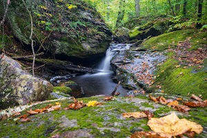 Moosalamoo Campground campsite photo 5 - Green Mountain & Finger Lakes National Forests, Vermont