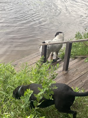 Mosomo Point campground near Deer River, Minnesota