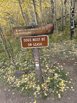 Maroon Bells Amphitheatre campsite photo 6 - White River National Forest, Colorado