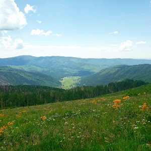 Middle Mountain campsite photo 4 - San Juan National Forest, Colorado