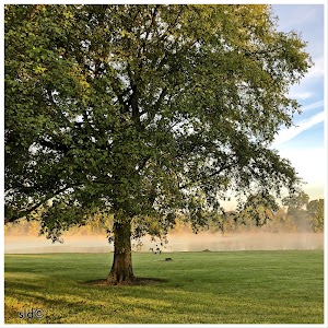Nat Caldwell Park campsite photo 5 - Old Hickory Lake, Tennessee