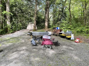 North Mills River campsite photo 6 - National Forests in North Carolina, North Carolina
