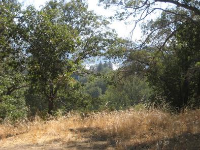 View from North Shore Campground
