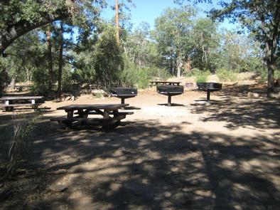Shade, picnic tables & fire pits of the Oso Group Campground .