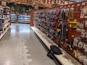 Osprey campsite photo 4 - Idaho Panhandle National Forests, Idaho