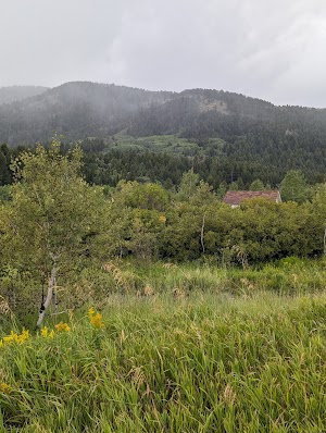 Pebble Guard Station campsite photo 3 - Caribou-Targhee National Forest, Idaho