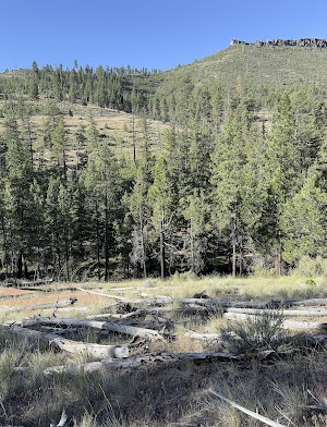 Perry South Campground campsite photo 5 - Deschutes National Forest, Oregon