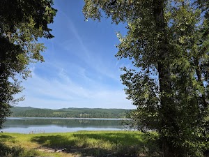 Pine Meadows Campground campsite photo 3 - Cottage Grove Lake, Oregon