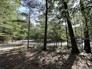 Platte River Campground campsite photo 3 - Sleeping Bear Dunes National Lakeshore, Michigan