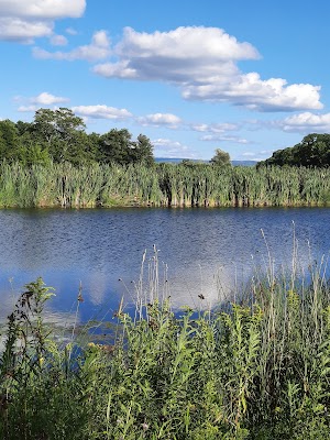Potomac Group Campground campground near Hector, New York