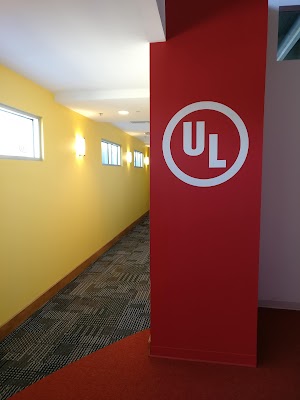 Prospector campsite photo 4 - White River National Forest, Colorado