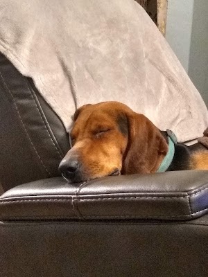 Redstone campsite photo 2 - White River National Forest, Colorado