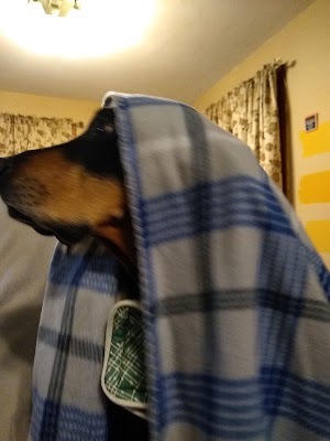 Redstone campsite photo 5 - White River National Forest, Colorado